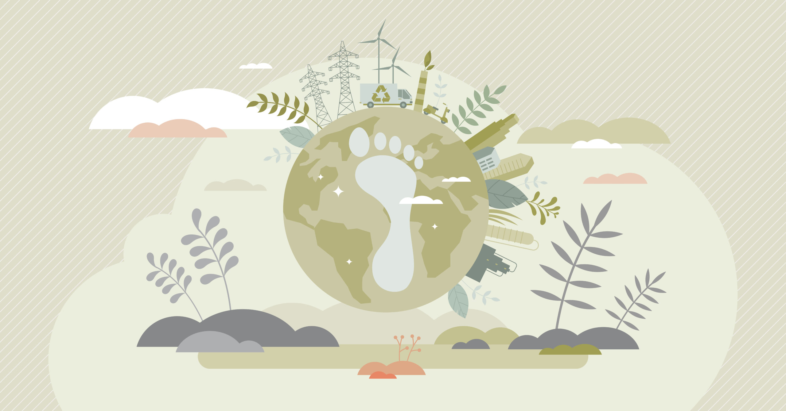 Exploring Carbon Footprinting Perma Collective